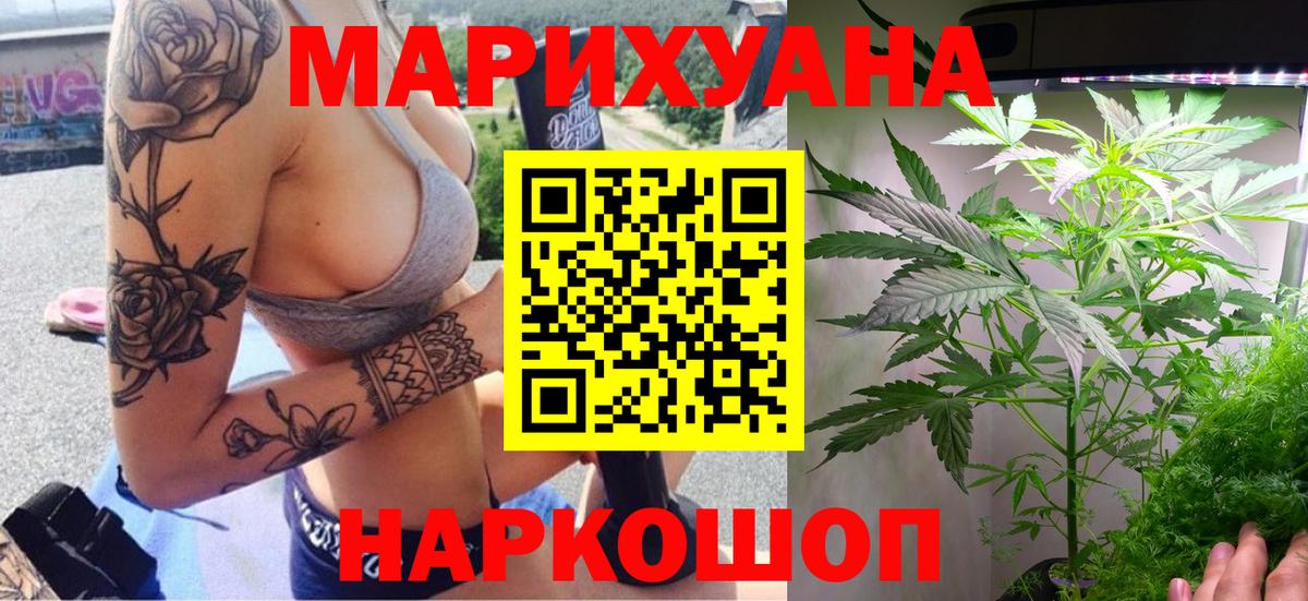 Шишки марихуана конопля Владикавказ